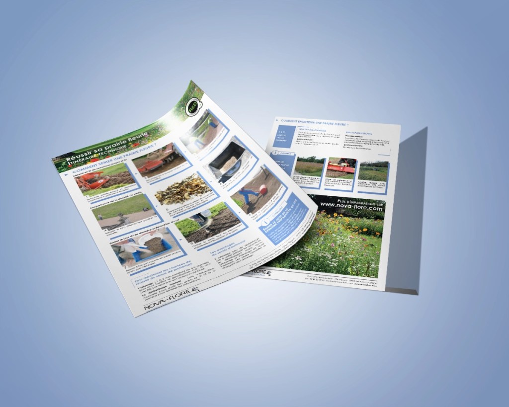 OC Infographie vous présente un itinéraire technique de prairies fleuries, réalisé en tant qu'assistante marketing à Nova-Flore, Champigné (49)