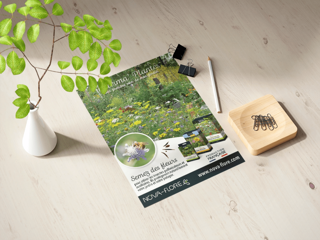OC Infographie vous présente un flyer mélanges fleuries, réalisé en tant qu'assistante marketing à Nova-Flore, Champigné (49)