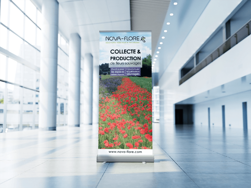 OC Infographie vous présente un roll-up sur les fleurs sauvages, réalisé en tant qu'assistante marketing à Nova-Flore, Champigné (49)